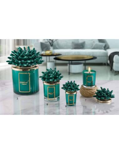Candele profumate in vetro tema mare Melaverde corallo verde in ceramica