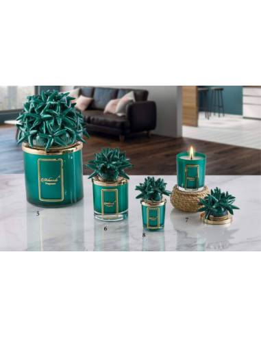 Candele in vetro bomboniere Melaverde conchiglie e stelle marine in ceramica verde