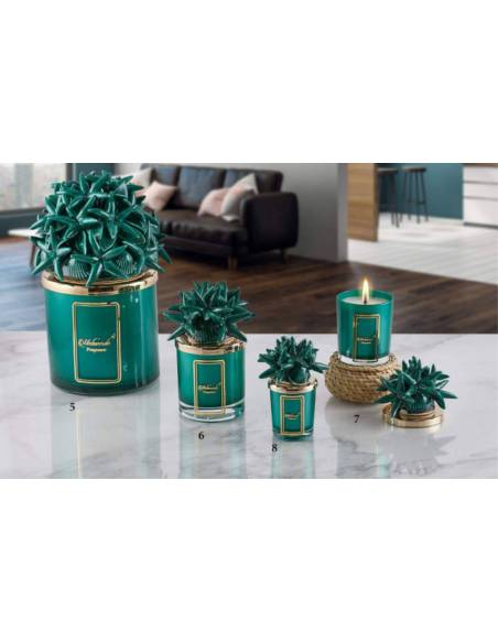 Candele in vetro bomboniere Melaverde conchiglie e stelle marine in ceramica verde