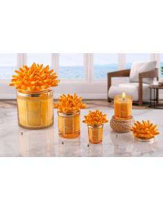 Candele melaverde profumate bomboniere mare corallo in ceramica arancione