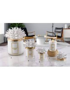 Candele in vetro profumate Melaverde bomboniere corallo bianco in ceramica
