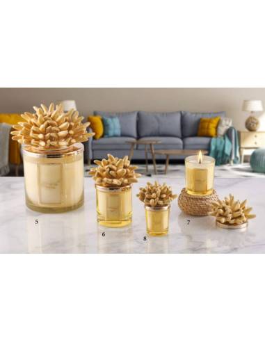 Bomboniere tema mare candele profumate bomboniere corallo Melaverde in ceramica gialla