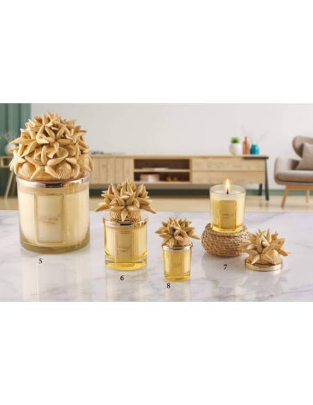 Bomboniere ceramica gialla conchiglie e stelle marine Melaverde candele profumate