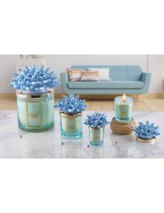Candele profumate particolari Melaverde tema mare corallo azzurro in ceramica
