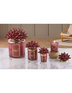 Bomboniere mare candele profumate Melaverde corallo in ceramica bordeaux