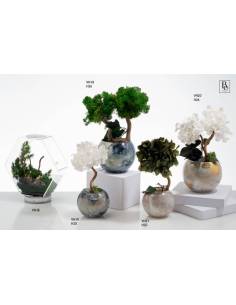 Bomboniere raffinate ed eleganti piante Buba Design linea Vienna shop online