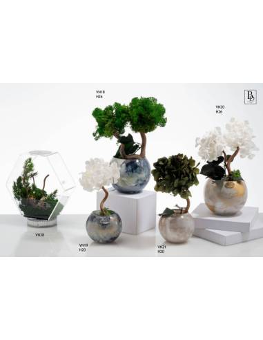 Bomboniere raffinate ed eleganti piante Buba Design linea Vienna shop online