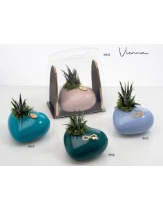 Vasi piante grasse eleganti colorati Buba Design Linea Vienna