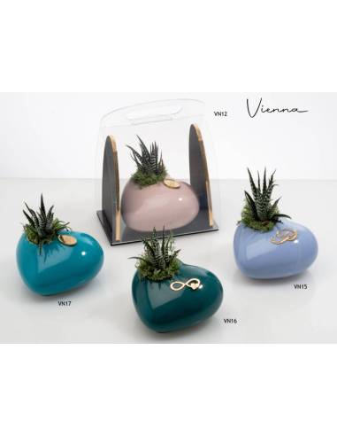 Vasi piante grasse eleganti colorati Buba Design Linea Vienna