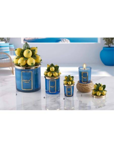 Candele profumate blu pianta limoni in ceramica colorata Melaverde