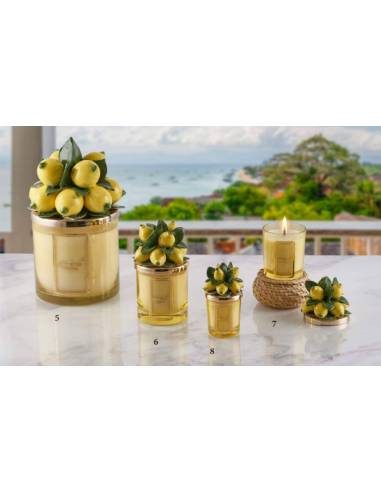 Candele profumate particolari gialle Melaverde bomboniere pianta limoni ceramica