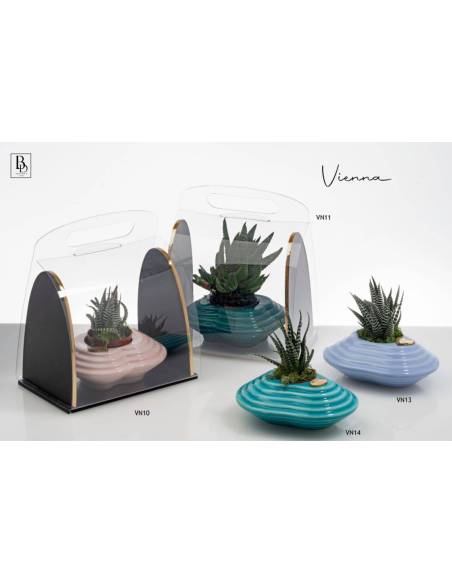 Vasi porta piante grasse eleganti colorati Buba Design Linea Vienna