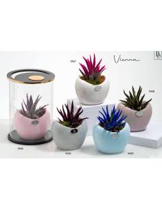 Bomboniere eleganti vasi piante grasse colorati Buba Design Linea Vienna
