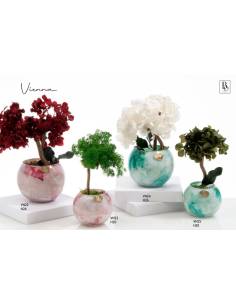 Bomboniere vaso porta piante Buba Design linea Vienna shop online