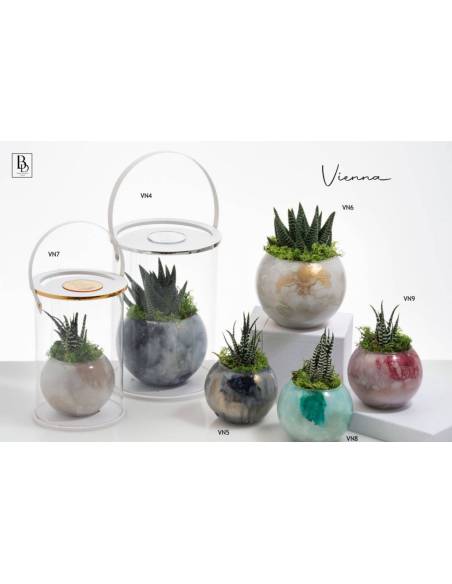 Bomboniere piante grasse vasi Buba Design linea Vienna shop online