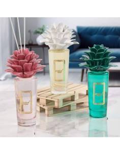 Profumatori bomboniere Melaverde pianta in ceramica colorata