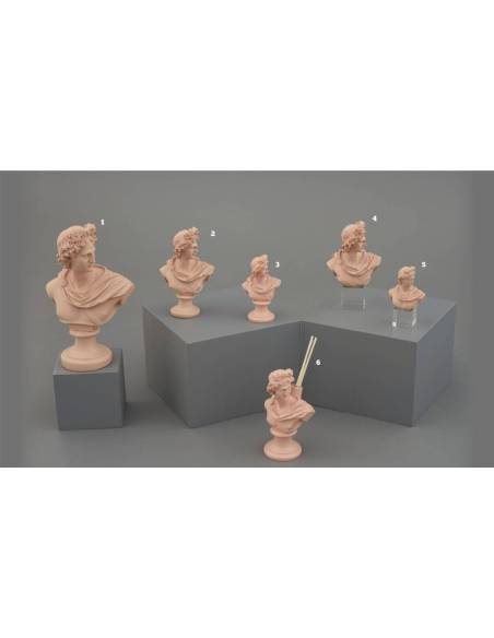 Busti statue bomboniere eleganti Melograno Made in Italy offerte online
