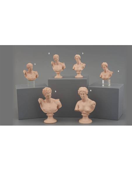 Statue mezzo busto bomboniere particolari Melograno offerte online