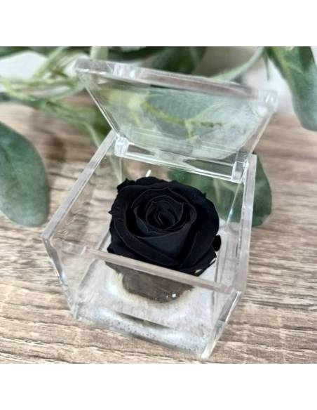 Rosa stabilizzata bomboniera in box plexiglass con gel| Sindy Bomboniere