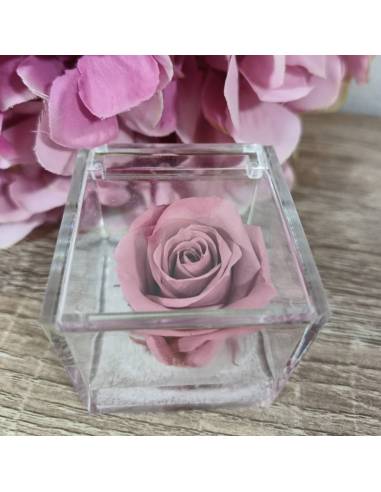 Rosa stabilizzata bomboniera in box plexiglass con gel| Sindy Bomboniere