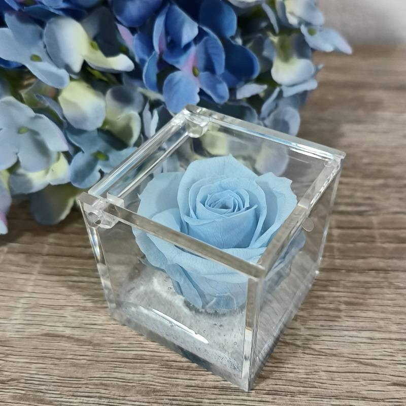 Rosa stabilizzata bomboniera nera cubo plexiglass| Sindy Bomboniere