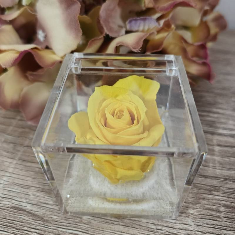 Rosa stabilizzata bomboniera nera cubo plexiglass| Sindy Bomboniere