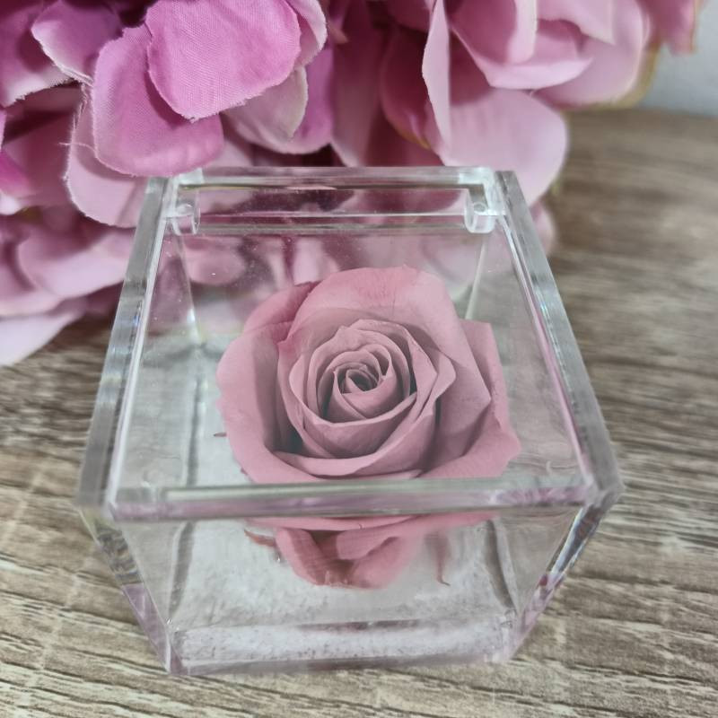 Rosa stabilizzata bomboniera nera cubo plexiglass| Sindy Bomboniere