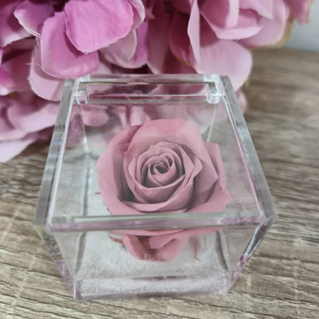 Rosa stabilizzata bomboniera nera cubo plexiglass| Sindy Bomboniere