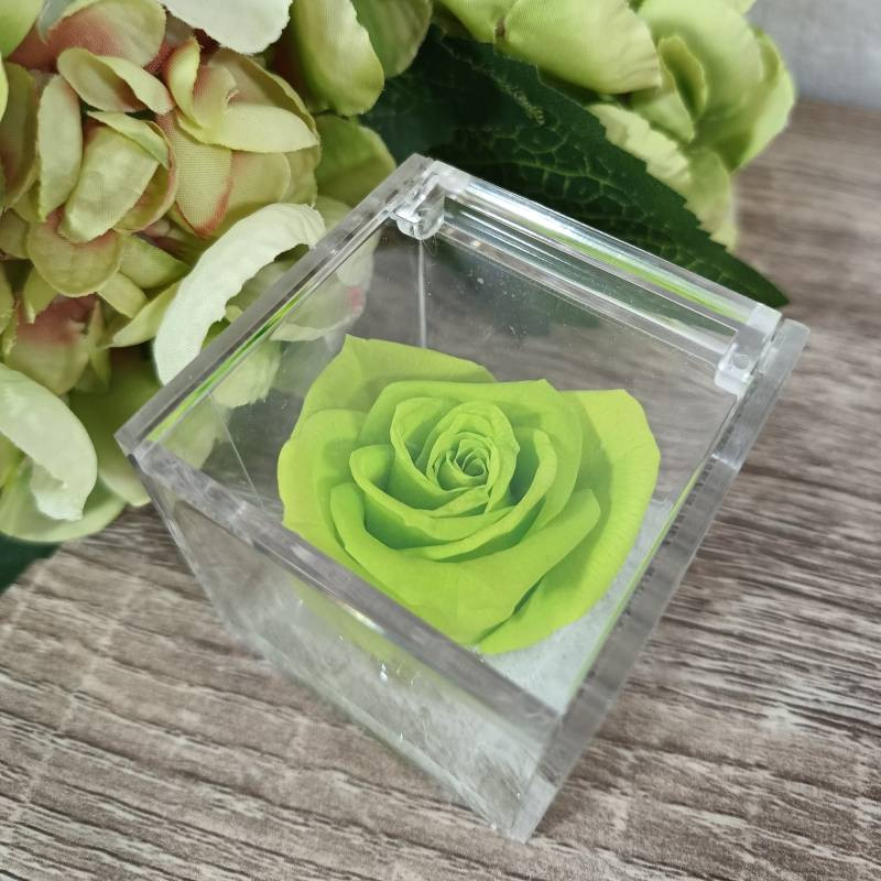 Rosa stabilizzata bomboniera nera cubo plexiglass| Sindy Bomboniere