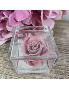 Rosa stabilizzata bomboniera rosa antico in plexiglass