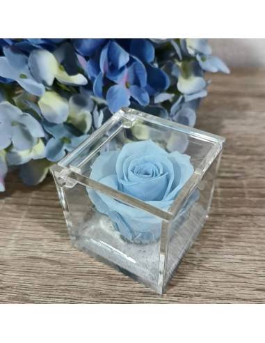 Bomboniere rose blu vere ideali per matrimonio in scatola trasparente| Sindy Bomboniere