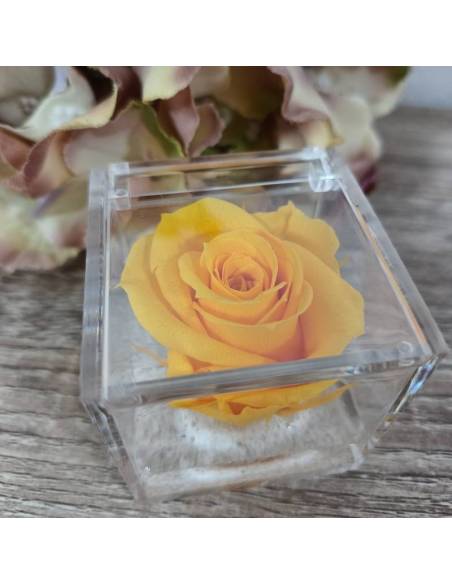 Bomboniere rose blu vere ideali per matrimonio in scatola trasparente| Sindy Bomboniere