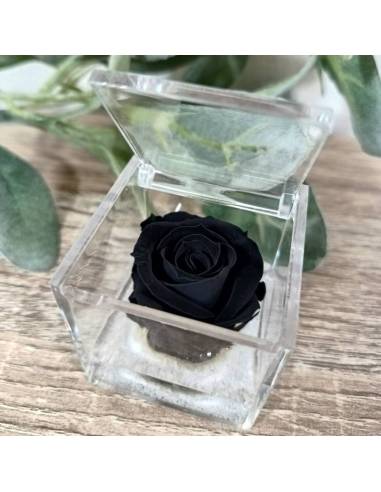 Bomboniere rose blu vere ideali per matrimonio in scatola trasparente| Sindy Bomboniere