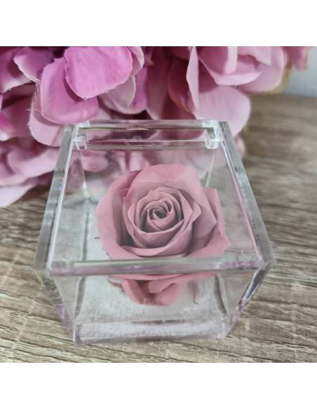 Bomboniere rose blu vere ideali per matrimonio in scatola trasparente| Sindy Bomboniere