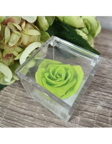 Bomboniere rose blu vere ideali per matrimonio in scatola trasparente| Sindy Bomboniere