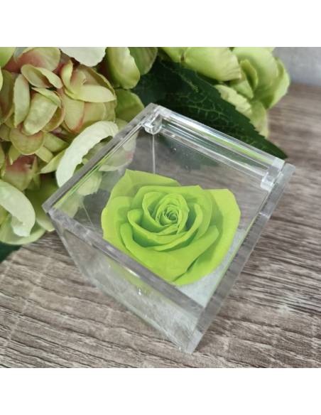 Bomboniere rose blu vere ideali per matrimonio in scatola trasparente| Sindy Bomboniere