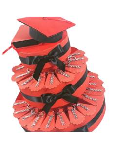 PORTA CONFETTI  BOMBONIERA per laurea DNA portachiavi medicina biotecnologia TORTA