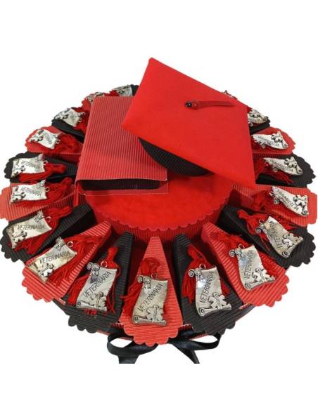 Torta a tema laurea veterinaria con targhette pergamena con nappina