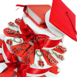 Torta portabomboniera con tocco e libro e quadrifogli fortachiavi per laurea con tesi e tocco