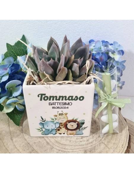 Bomboniere Battesimo personalizzate vasetto tema savana