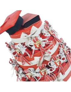 Struttura porta sacchetti per confetti con 22 sacchettini a tema laurea con libricino in legno con coccinella