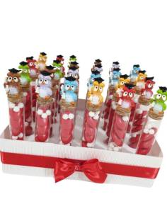 Portaconfetti laurea con gufetti colorati confetti e mimose