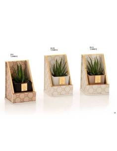 Buba Design bomboniere porta piante da interno Linea Elite