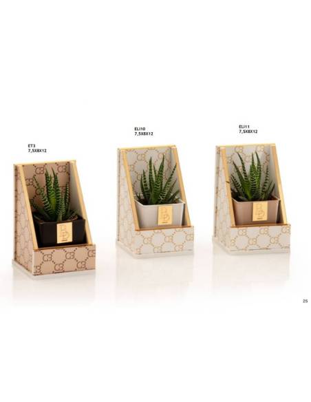 Buba Design bomboniere porta piante da interno Linea Elite
