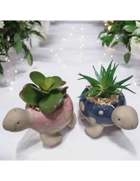 Bomboniere vasetti animaletti tartarughe con piantina