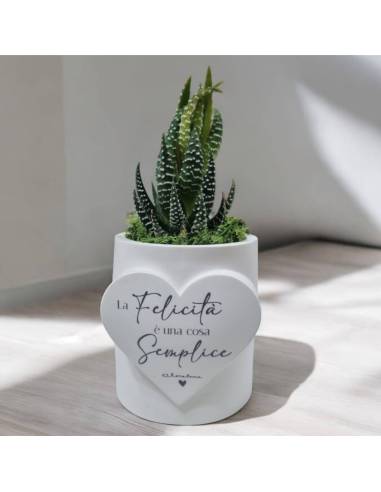 Claraluna piantina grassa vasetto cuore frase ideali per ogni evento
