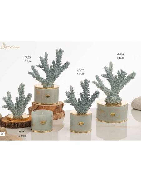 Candele profumate bomboniere a tema marino Grace Design