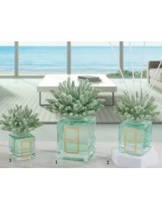 Diffusori per ambienti corallo in ceramica verde salvia Melaverde