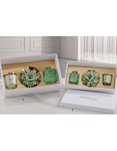 Set regalo candela e profumatore ambiente attinia in ceramica Melaverde