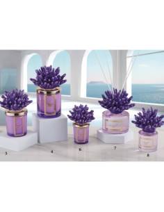 Bomboniere tema mare corallo su candele e profumatori ambiente Melaverde